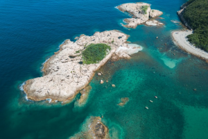 Green Egg Island