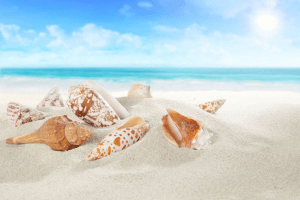 beach