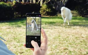 SonyXperia1III