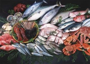 fish
