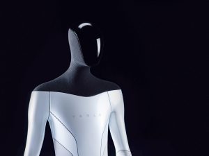 Tesla Bot