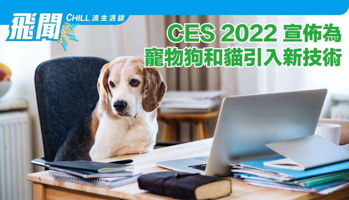 CES 2022 上宣佈為寵物狗和貓引入新技術