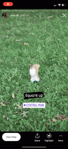 Instagram